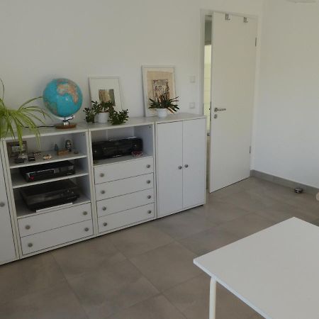 großzügige,zetrumsnahe Wohnung Dresden Exterior foto